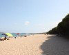 Piaszczysta plaża z ludźmi, parasolami i lasem po prawej stronie.