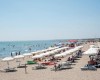 ROSOLINA_ROSAPINETA_015.JPG