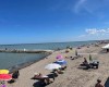 ROSOLINA_ROSAPINETA_021.JPG