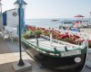 ROSOLINA_ROSAPINETA_07.JPG