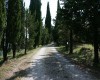 pcrocchia05.JPG