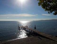 Padenghe sul Garda - Camping Della Colombaia 