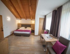 Castello di Fiemme - Hotel Olimpionico ****