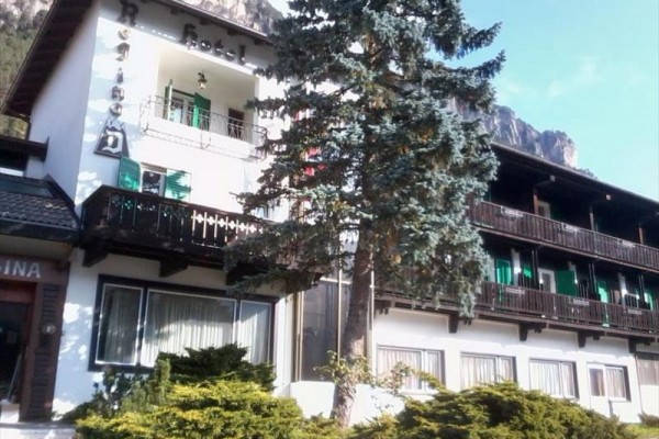Hotel z balkonami i drzewem iglastym przed fasadą.
