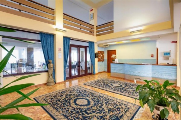 Recepcja hotelowa z niebieskimi dywanami i rośliną w doniczce.