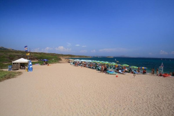 Piaszczysta plaża z leżakami i parasolami nad morzem.