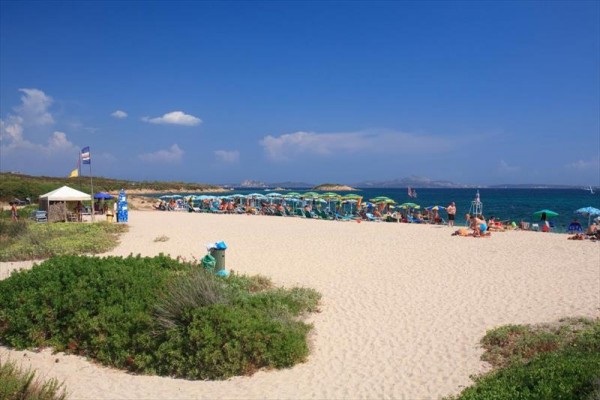 Piaszczysta plaża z ludźmi pod parasolami nad morzem w słoneczny dzień.  