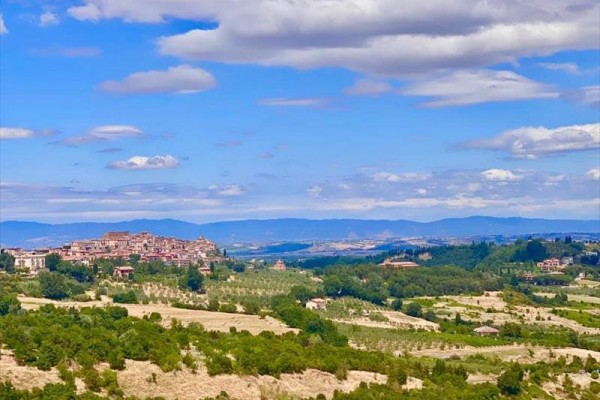 Panoramiczny widok miasta z rozległymi polami i lasami pod niebieskim niebem z chmurami.