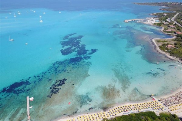 Plaża z rzędem parasoli i turkusowym morzem.