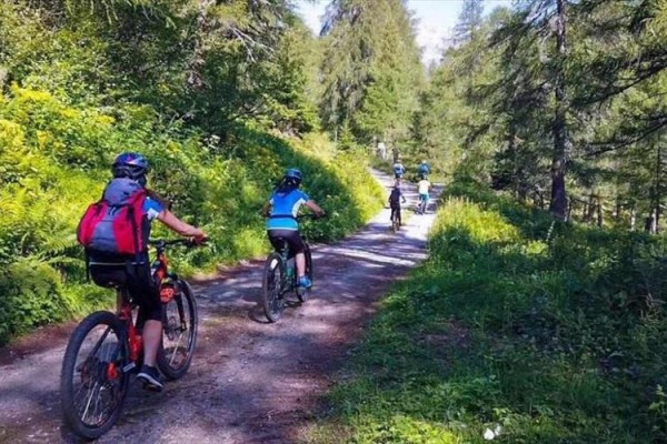Ludzie na rowerach górskich jadą leśną ścieżką.