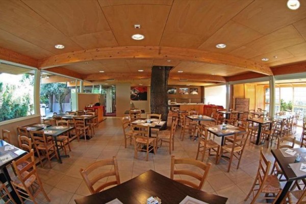 Restauracja z drewnianymi stołami i krzesłami, pośrodku pomieszczenia drzewo.