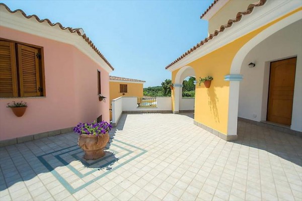 5LI15592_13.jpg