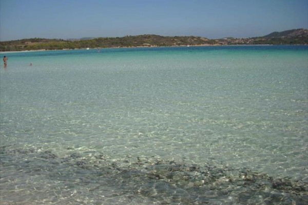 5LI15606_34.jpg