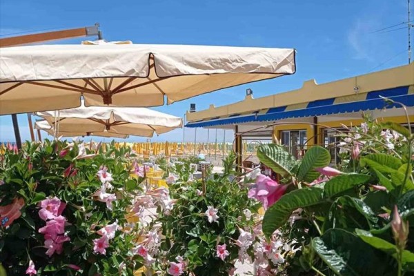 Ogródek z różowymi kwiatami i parasolami obok plaży pod niebieskim niebem.