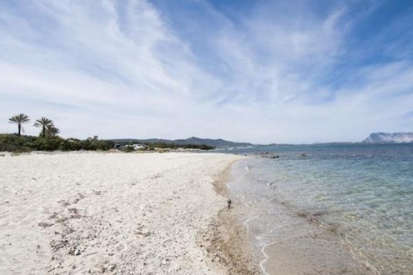 Piaszczysta plaża z przejrzystą wodą i niebieskim niebem.