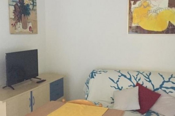 Salon z jasnoniebieską kanapą, małym telewizorem i dwoma obrazami na ścianach.