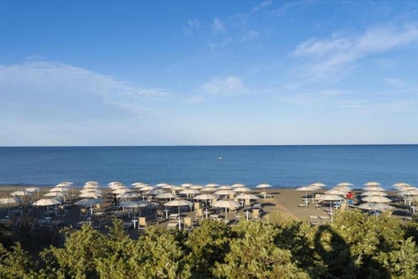 Plaża z rzędami parasoli i leżaków przy morzu pod błękitnym niebem.