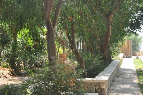 5LI21568_20.jpg