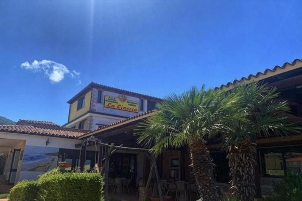 Restauracja z palmami przed wejściem pod niebieskim niebem.