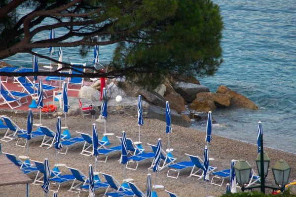 Plaża z leżakami i niebiesko-białymi parasolami nad morzem pod drzewem.