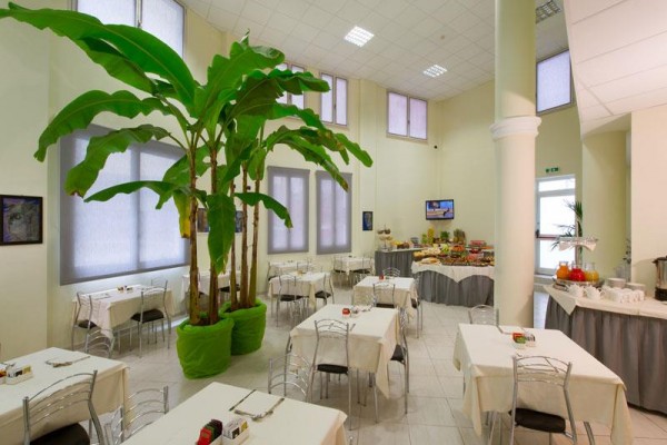 Restauracja z białymi obrusami, metalowymi krzesłami i dużą rośliną pośrodku.