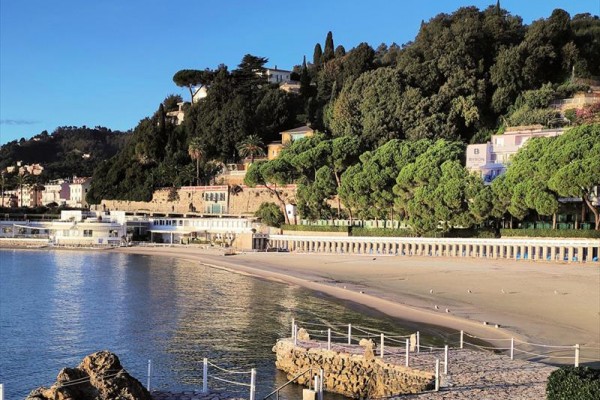 Plaża otoczona zielonymi drzewami i budynkami na stoku wzgórza.