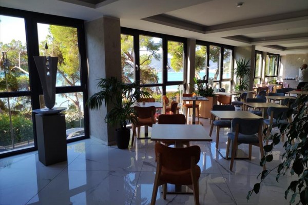 Nowoczesna restauracja z dużymi oknami i widokiem na morze oraz drzewa.
