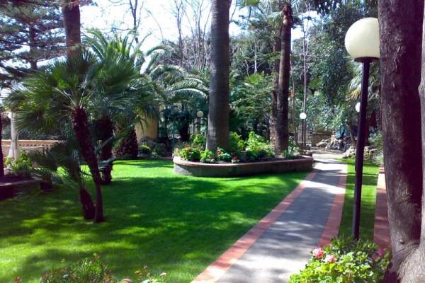 Park z zadbanymi trawnikami, palmami i oświetleniem wzdłuż ścieżek.