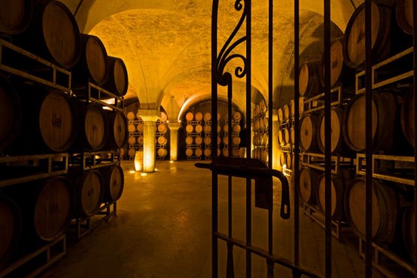 Piwnica z drewnianymi beczkami na wino oświetlona ciepłym światłem za metalowymi drzwiami.