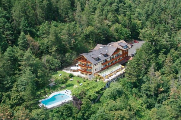 Hotel otoczony lasem z odkrytym basenem.