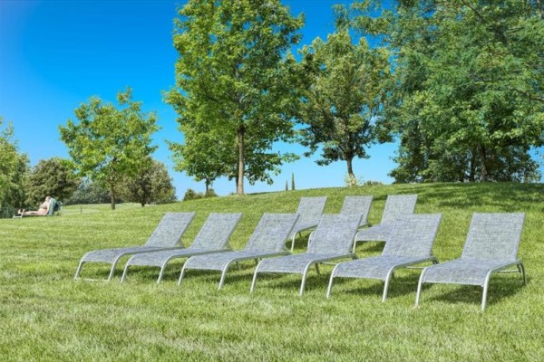 Osiem leżaków na trawniku z drzewami i czystym niebem w tle.