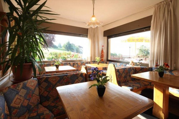 Wnętrze jasnej kawiarni z drewnianymi stolikami i kanapami, rośliną przy oknie i widokiem na ogród.