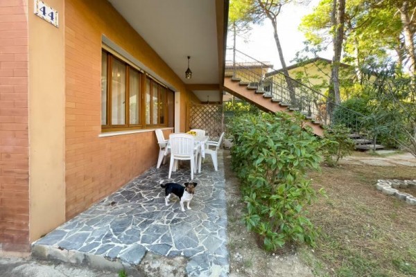 ALBA_LIGNANO_PINETA_21.JPG