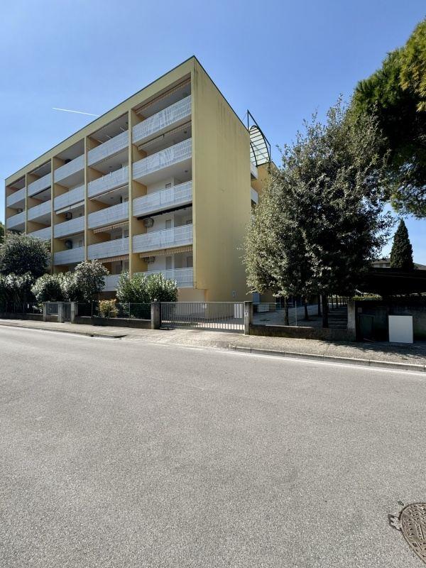 ATANTE_BIBIONE_01.JPG