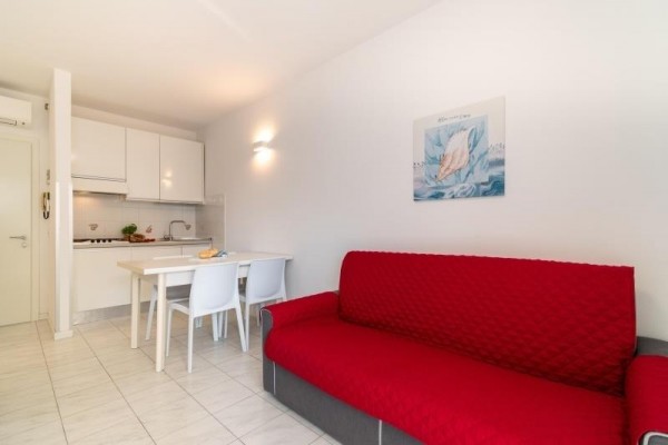 BIBIONE_NAUTILUS_AZ_001.JPG