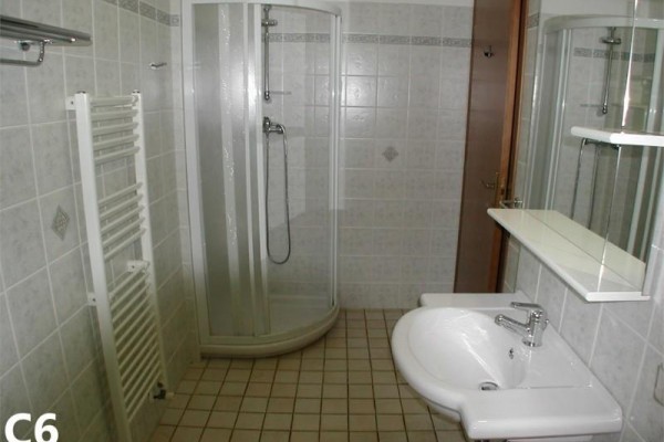 Łazienka z narożnym prysznicem, umywalką i grzejnikiem drabinkowym.