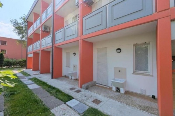 LUCA_BIBIONE_06.JPG
