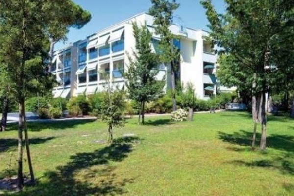 PINEWOOD_BIBIONE_1.JPG