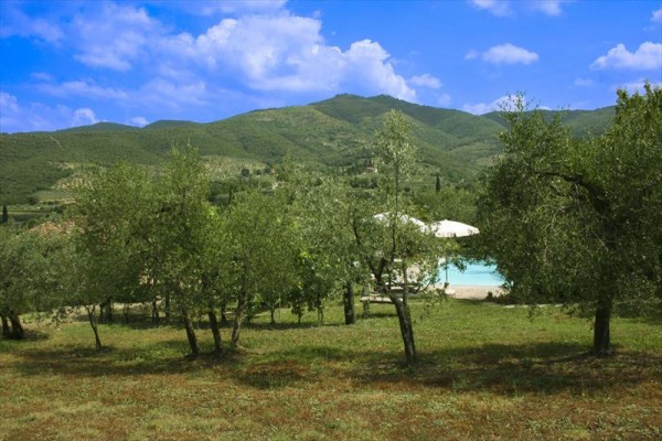 cfiori47.JPG