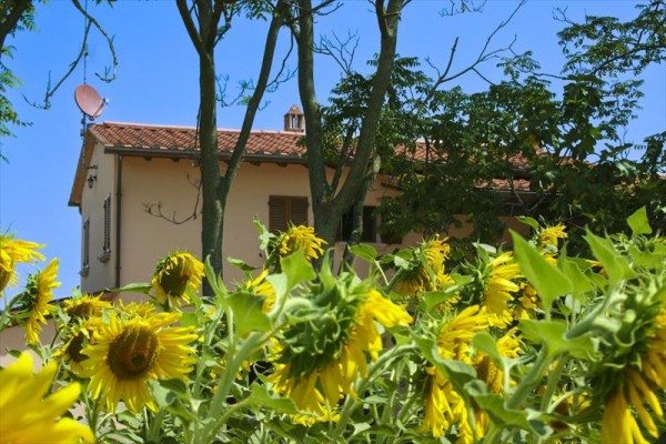ilviaggiolo49.JPG