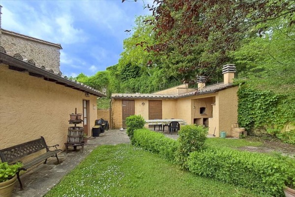 laprimula37.JPG