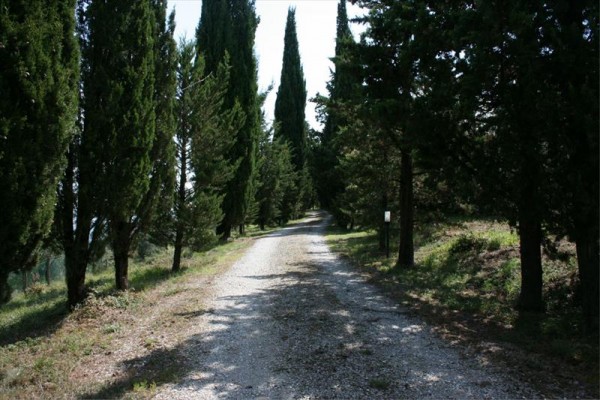 pcrocchia05.JPG