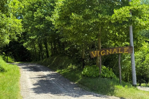 torredivignale55.JPG